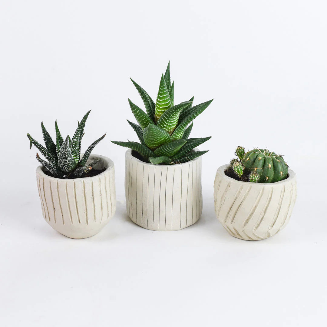 Pottery Date Night Bundle
