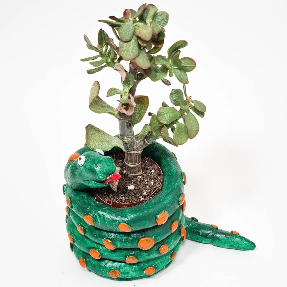Kids pottery inspo - snake plant vase