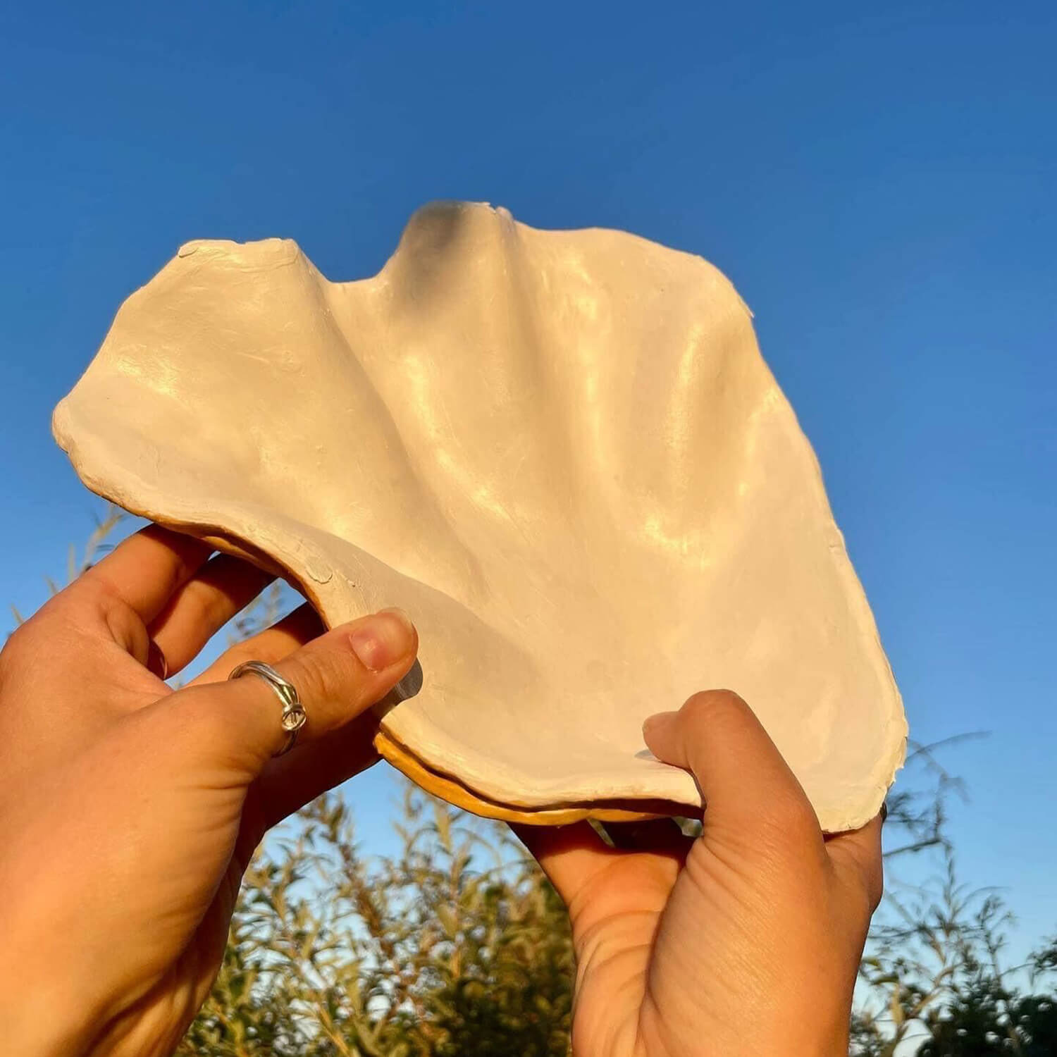 Sculpd Home Kit: Clam Shell Centrepiece Kit